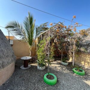 بوم گردی پرهیزکار