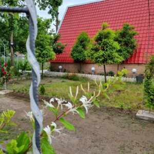 کلبه یک خوابه سوئیسی سعید