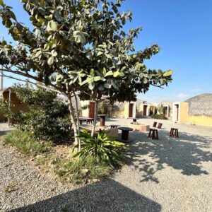 بوم گردی پرهیزکار