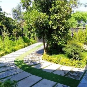 کلبه یک خوابه سوئیسی جکوزی دار