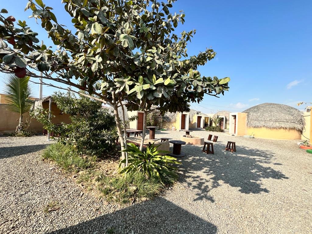 بوم گردی پرهیزکار